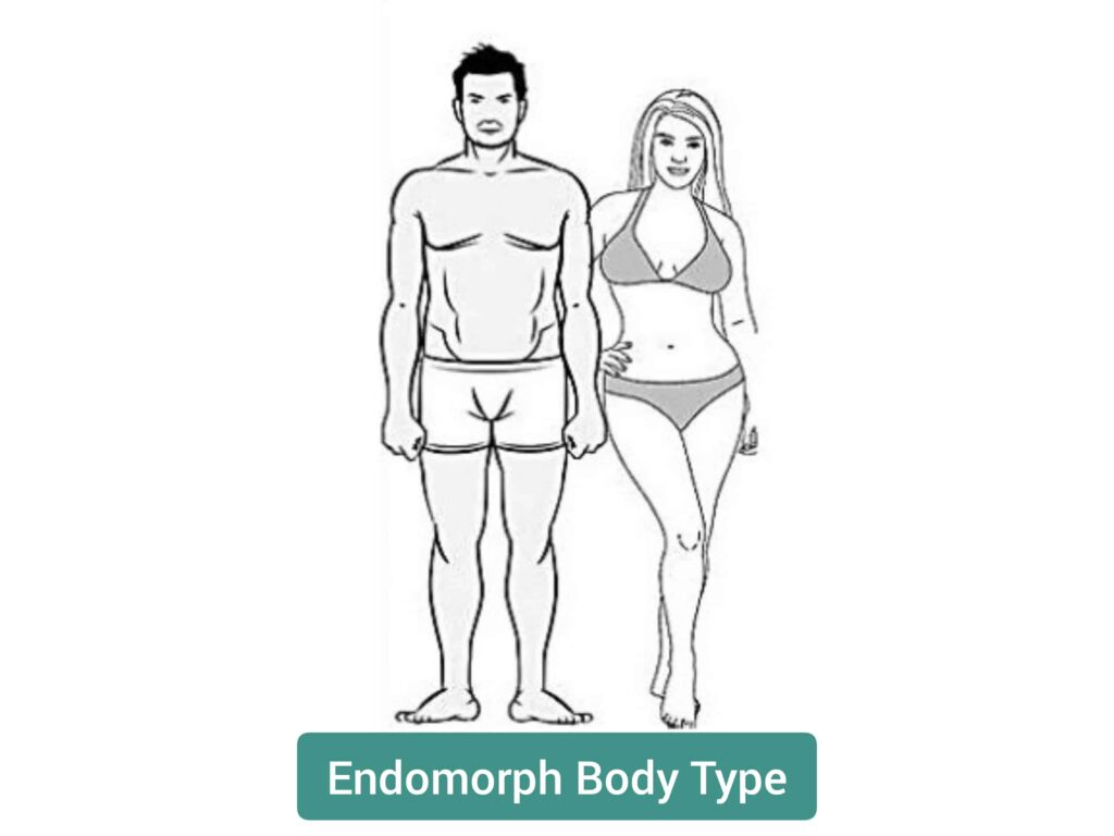 Endomorph Body Type - sharpmuscle