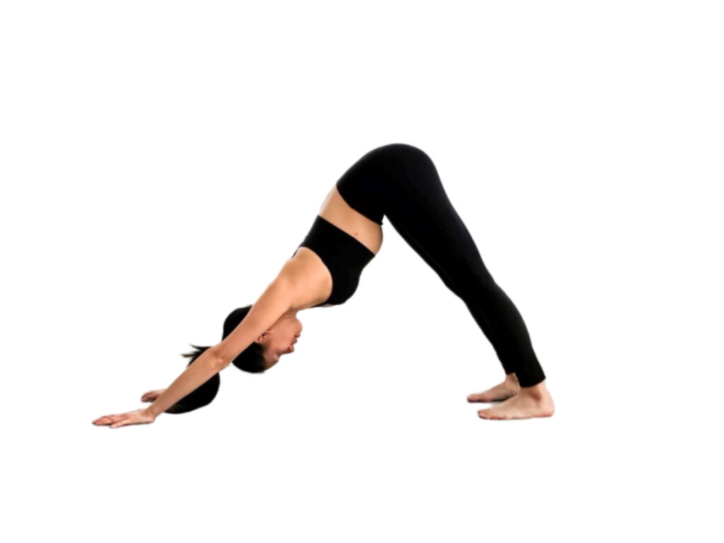 How to Downward facing dog - sharpmuscle