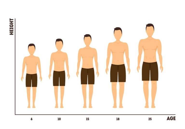 How to increase height naturally: Diet, Exercise, and Factors - sharpmuscle