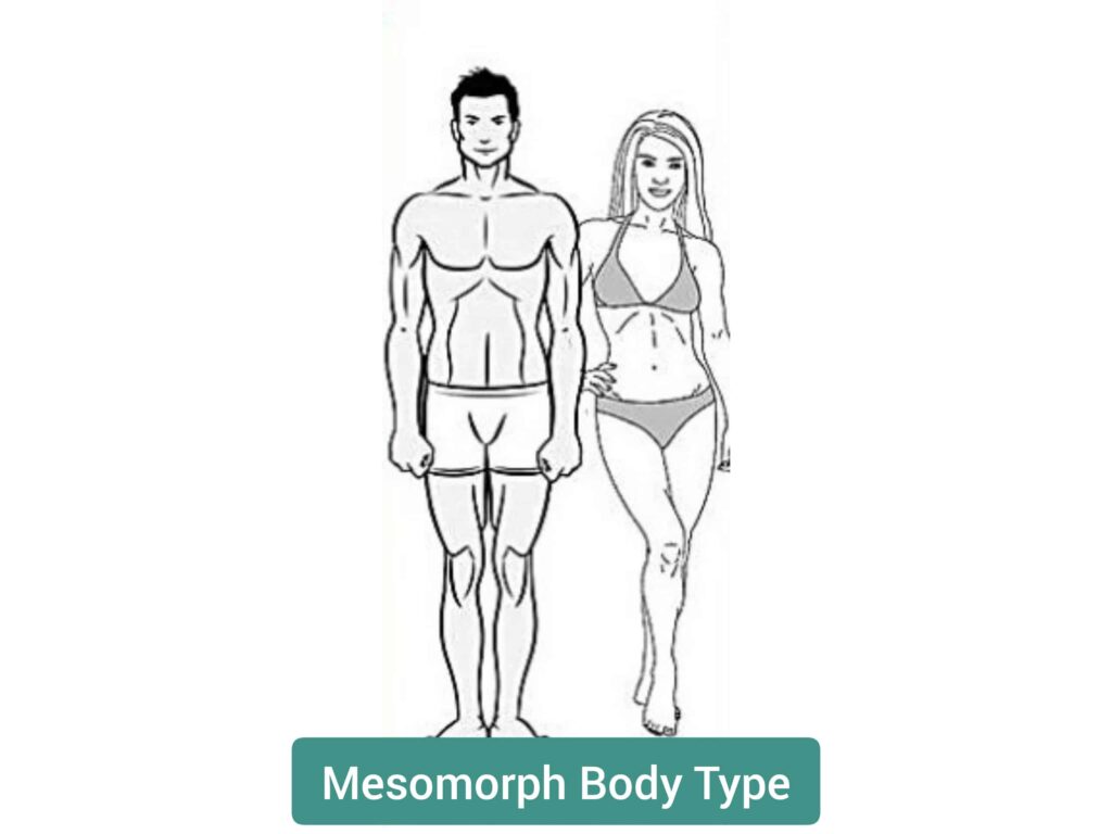 Mesomorph Body Type - sharpmuscle