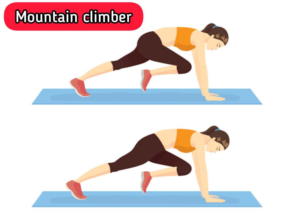 Mountain climber for thighs fat - sharpmuscle