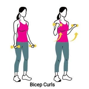 Bicep Curl - sharpmuscle