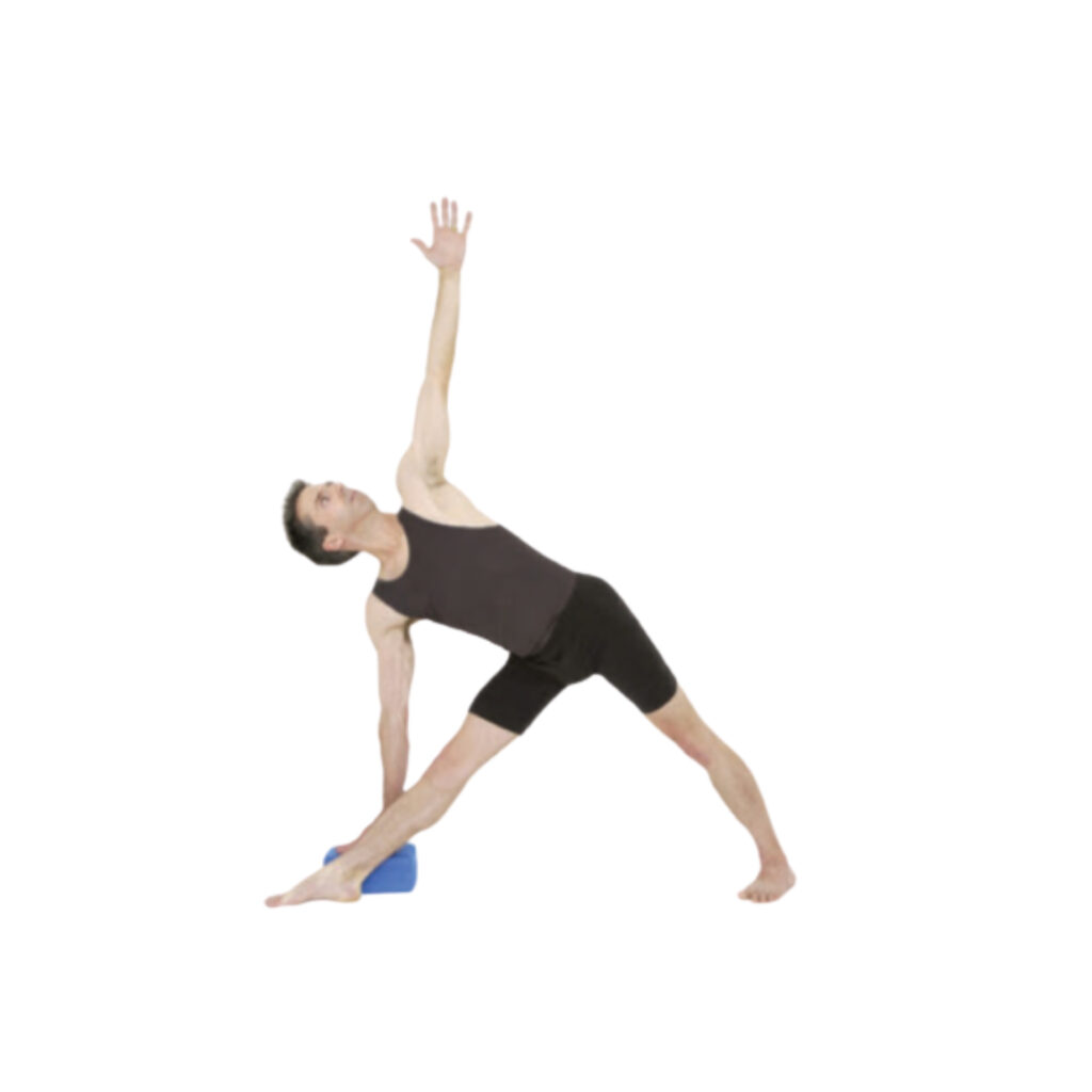 Gentle variation of Triangle Pose - sharpmuscle